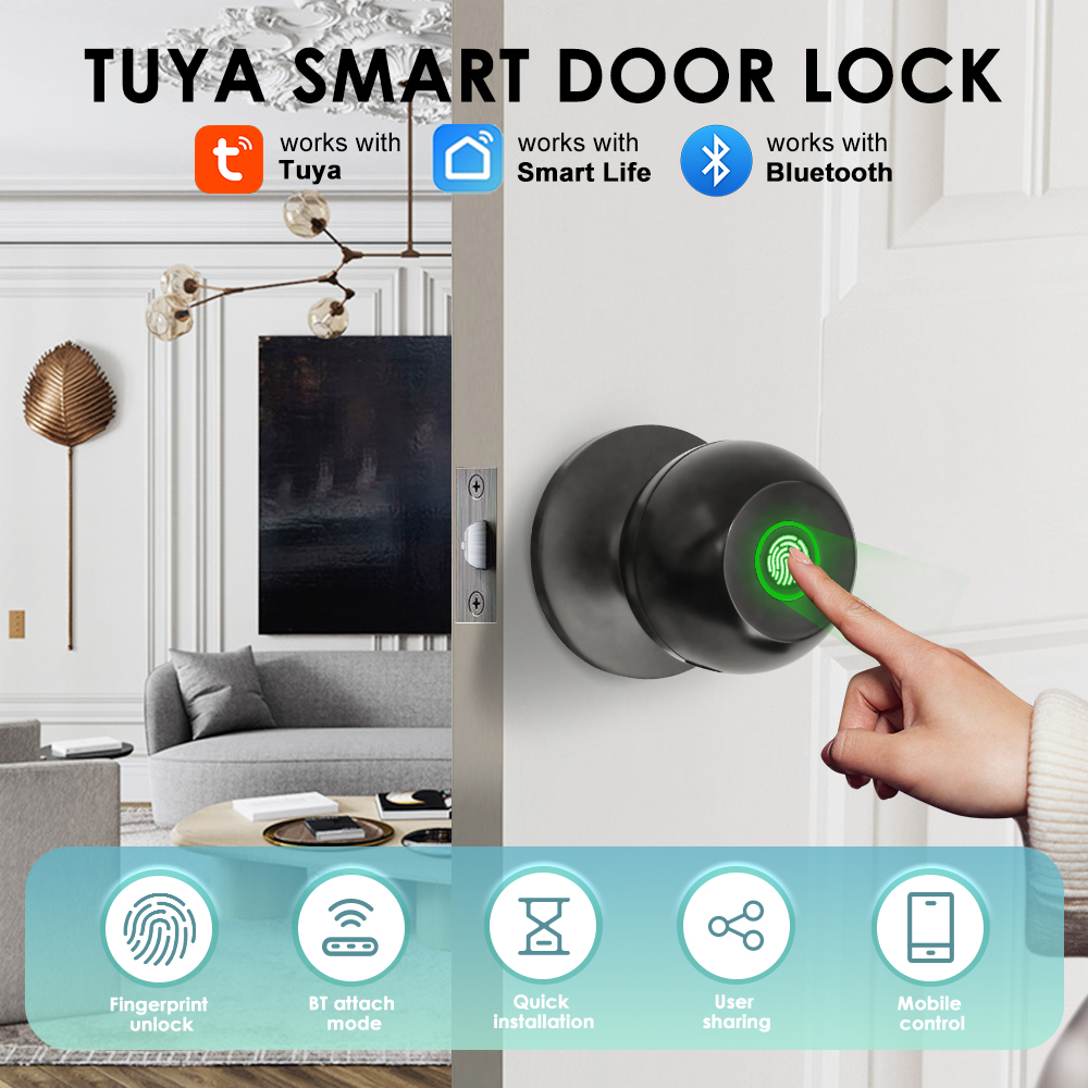 Tuya 電子ドアロック スマート外部ドアロック 指紋キー  - Home Office Immigration のレビューと価格